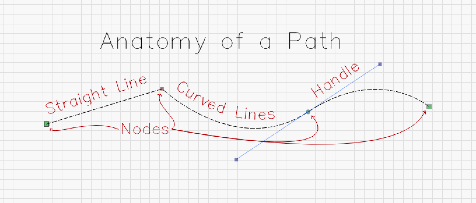 Anatomy of a Vector - nodes, handles, straight lines, curved lines.!