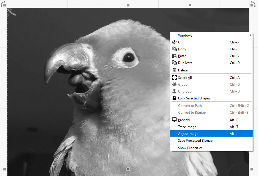 Opening the Adjust Image window from the right-click context menu