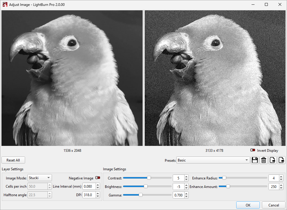 Zoomed in on image in the Adjust Image window